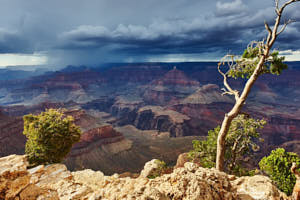 USA Grand Canyon<br>NIKON D4, 24 mm, 320 ISO,  1/200 sec,  f : 8 